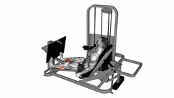 Horizontal Leg Press Calf Raise